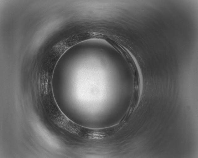 X0000086100525200703231438