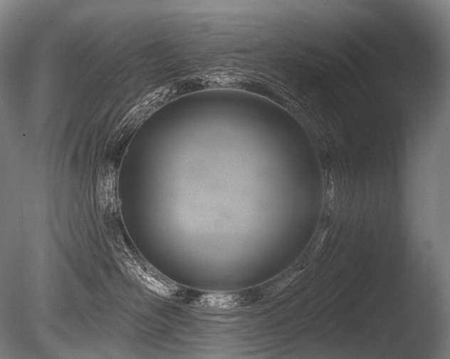 X0000086100526200703231438