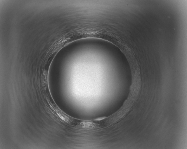 X0000086100528200703231438