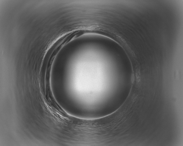 X0000086100532200703231437