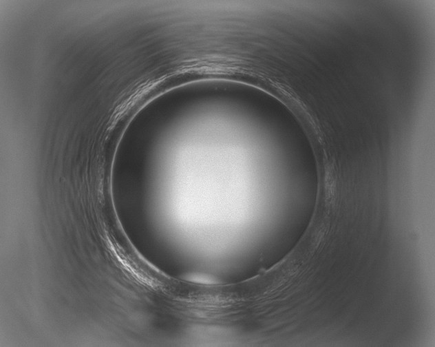 X0000086100533200703231437