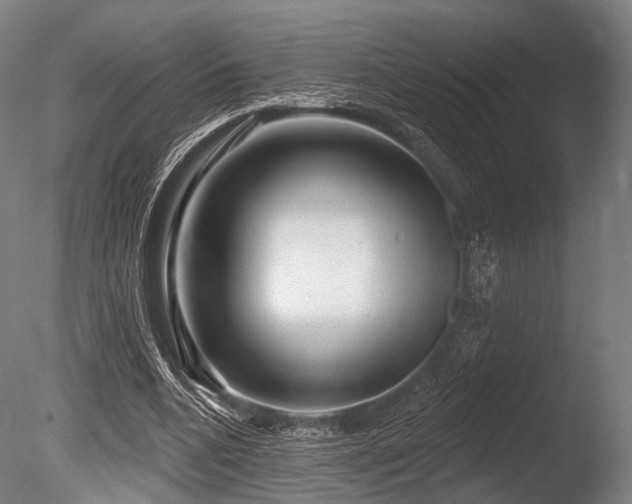 X0000086100536200703231437