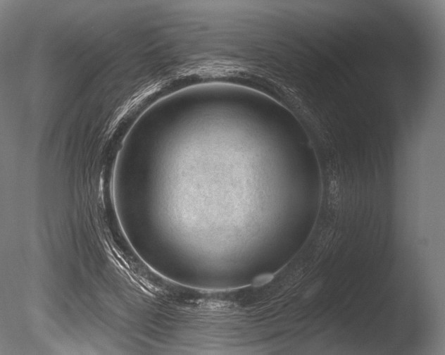 X0000086100539200703231437