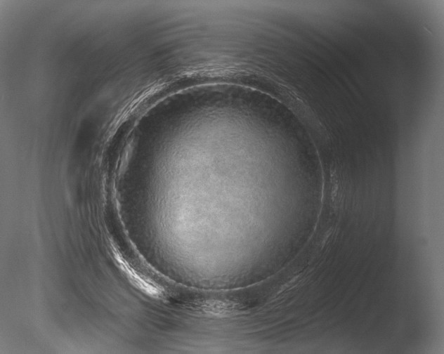 X0000086100542200703231437