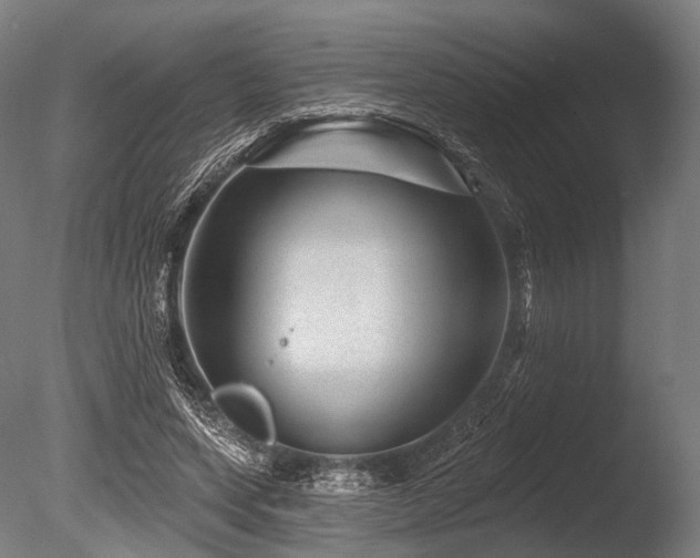 X0000086100543200703231437