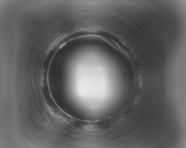 X0000086100544200703231437