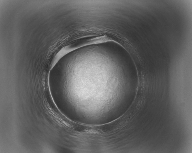 X0000086100545200703231437