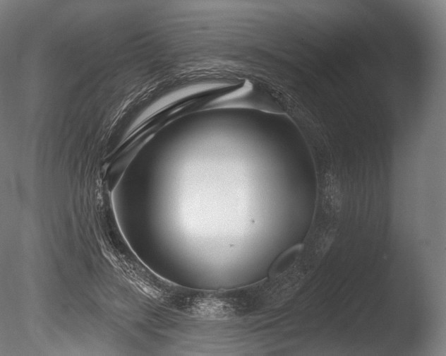 X0000086100547200703231437