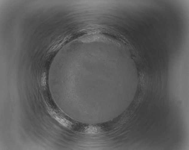 X0000086100549200703231437