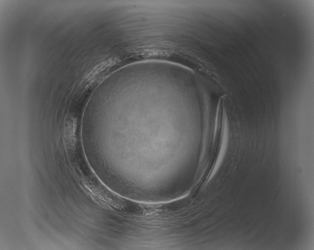 X0000086100550200703231437