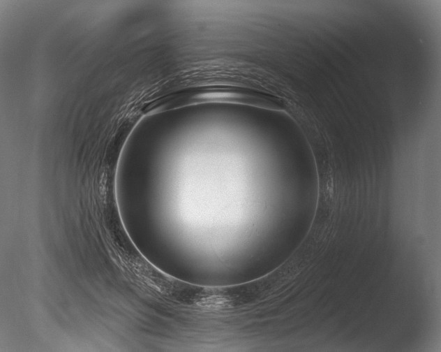 X0000086100551200703231437