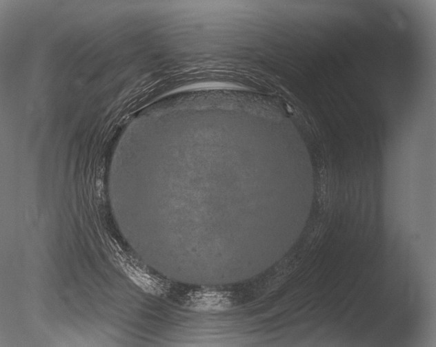 X0000086100553200703231437