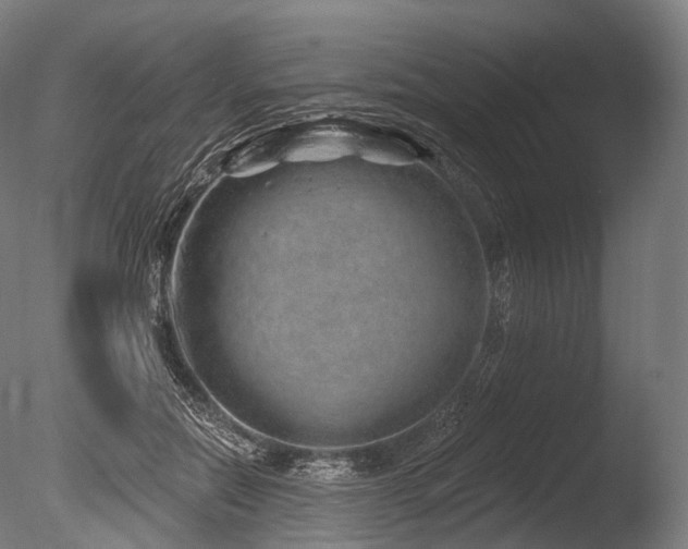 X0000086100554200703231437