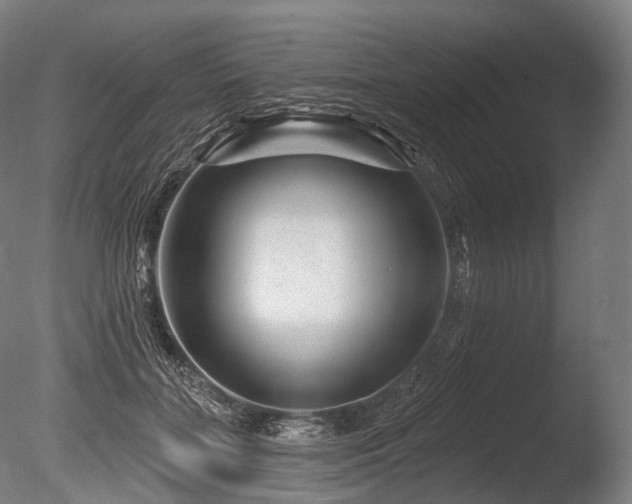 X0000086100555200703231437