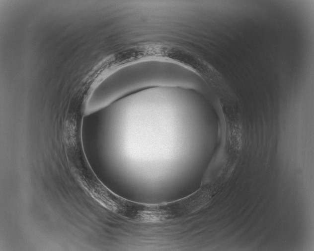 X0000086100556200703231437