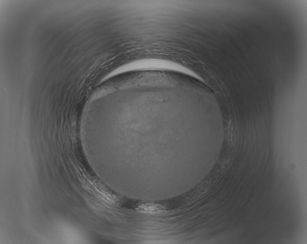 X0000086100557200703231437