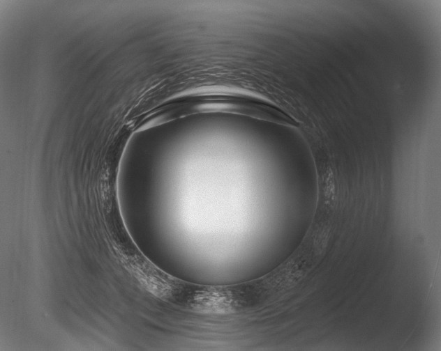 X0000086100559200703231438