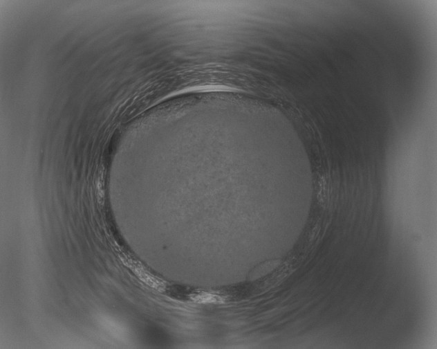 X0000086100561200703231438