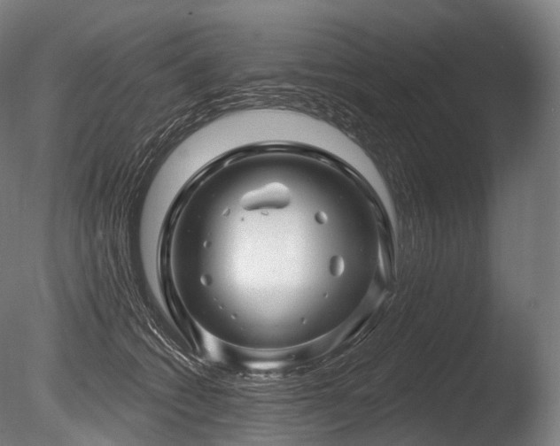 X0000086100562200703231438