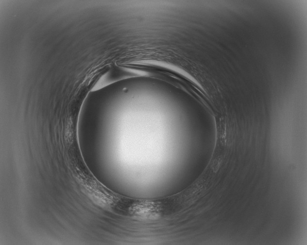X0000086100563200703231438