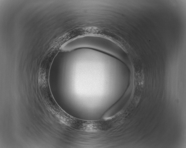 X0000086100564200703231438