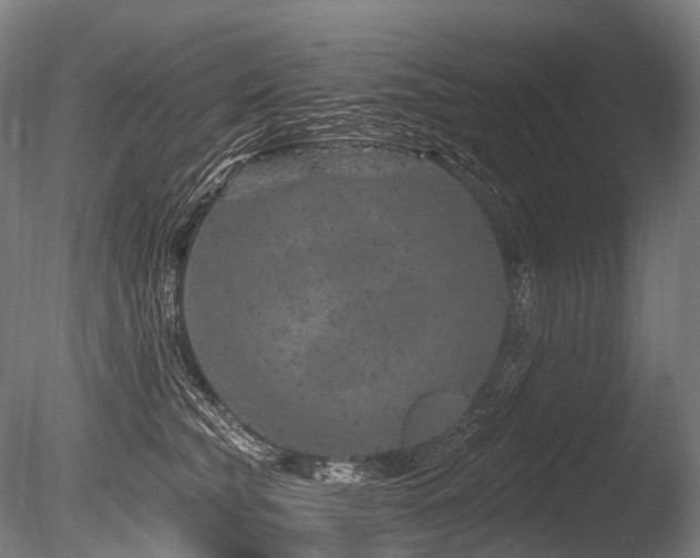 X0000086100565200703231438
