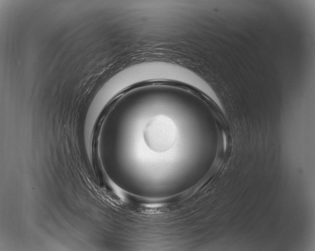 X0000086100566200703231438