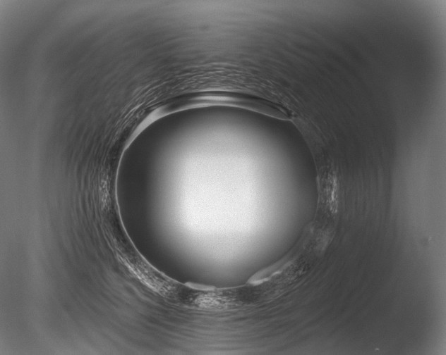 X0000086100568200703231438