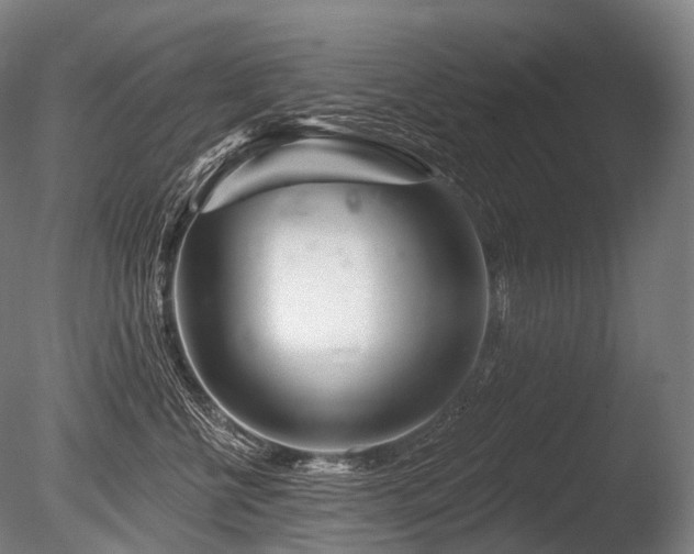 X0000086100570200703231438