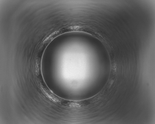 X0000086100572200703231438
