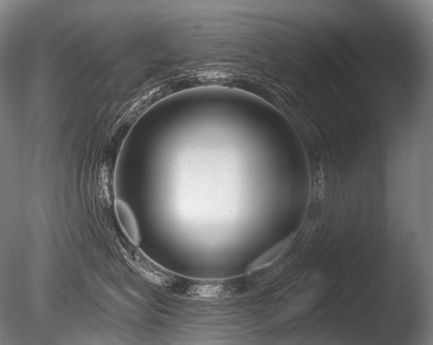 X0000086100575200703231438