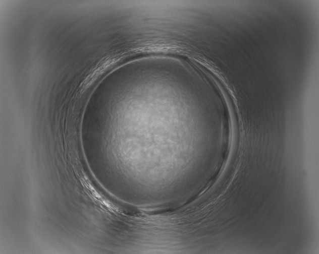 X0000086100577200703231437