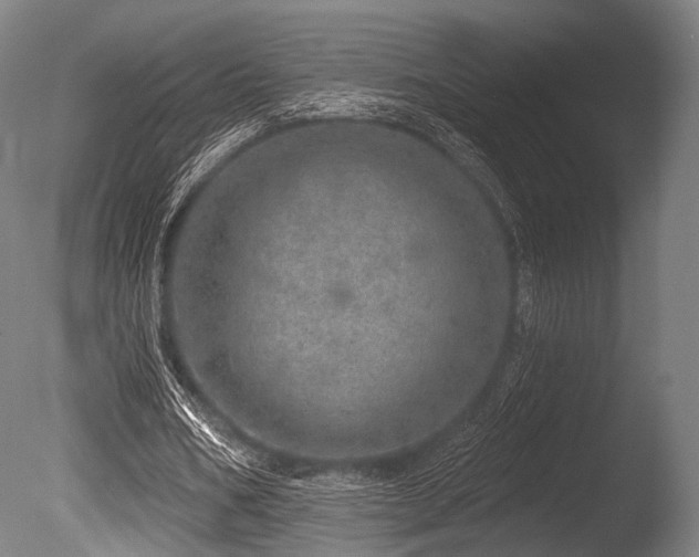 X0000086100578200703231437