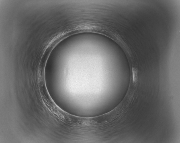 X0000086100579200703231437