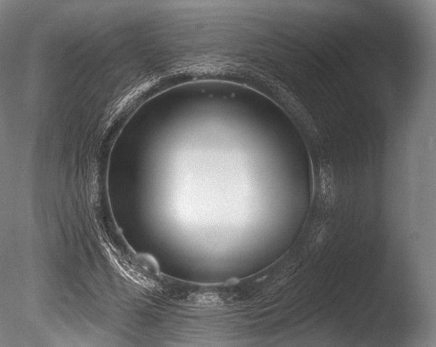 X0000086100588200703231437