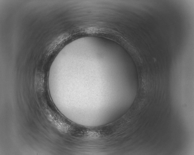 X0000086100592200703231437
