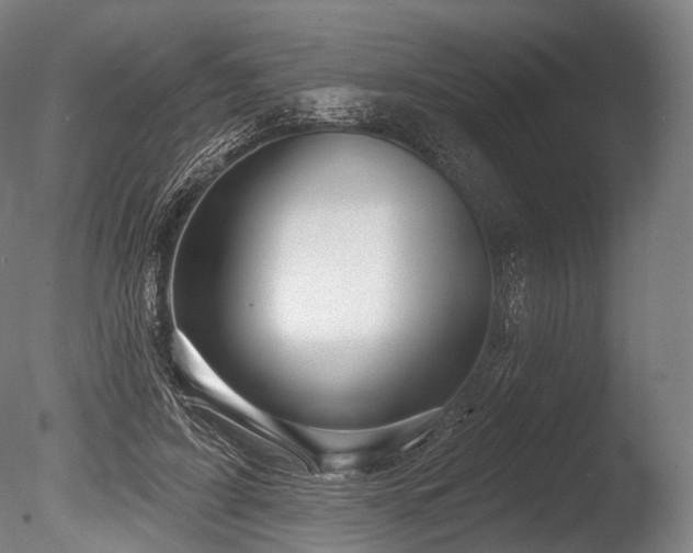 X0000086100595200703231437