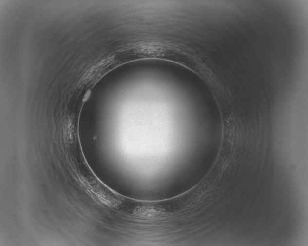 X0000086100597200703231437