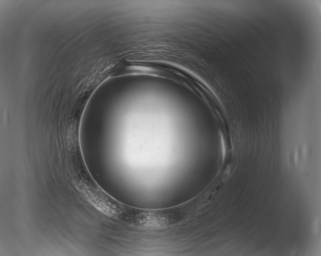 X0000086100601200703231437