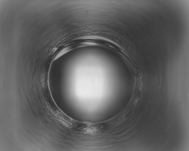 X0000086100604200703231437