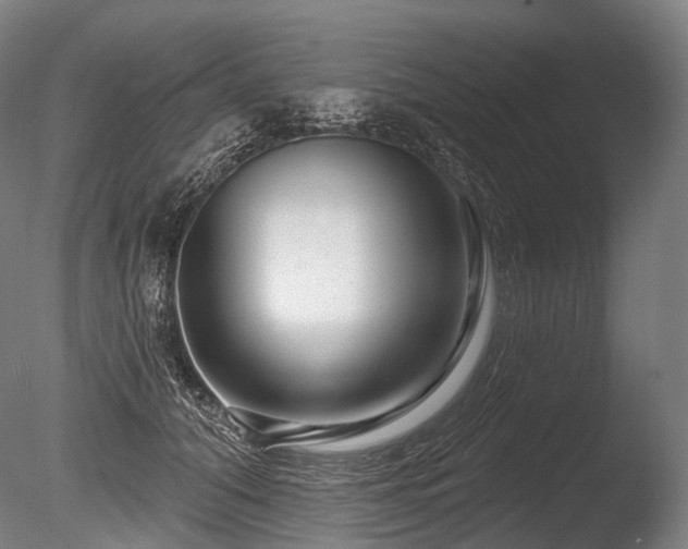 X0000086100608200703231436