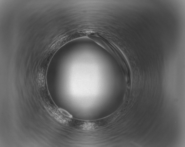 X0000086100609200703231436