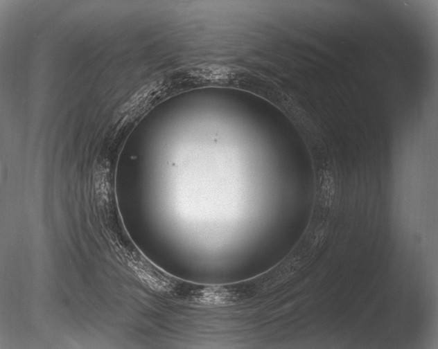 X0000086100612200703231436