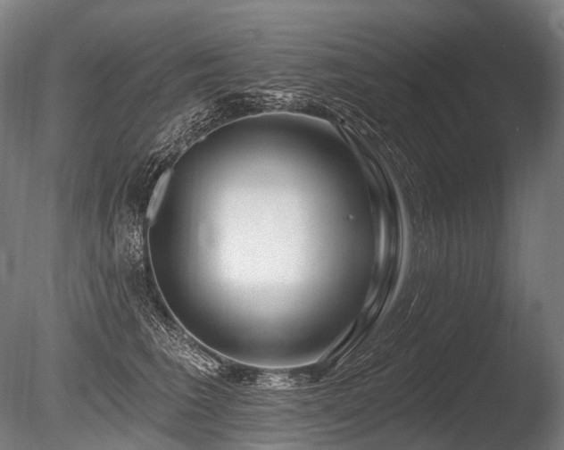 X0000086100613200703231436