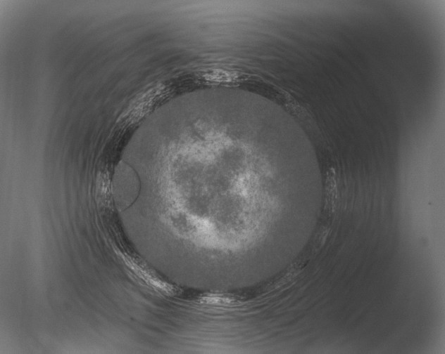 X0000086100614200703231436