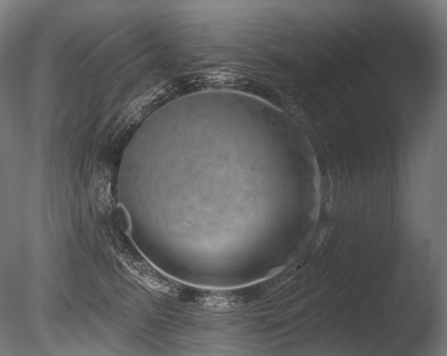 X0000086100615200703231436