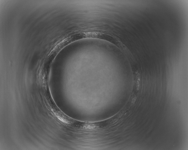 X0000086100619200703231436