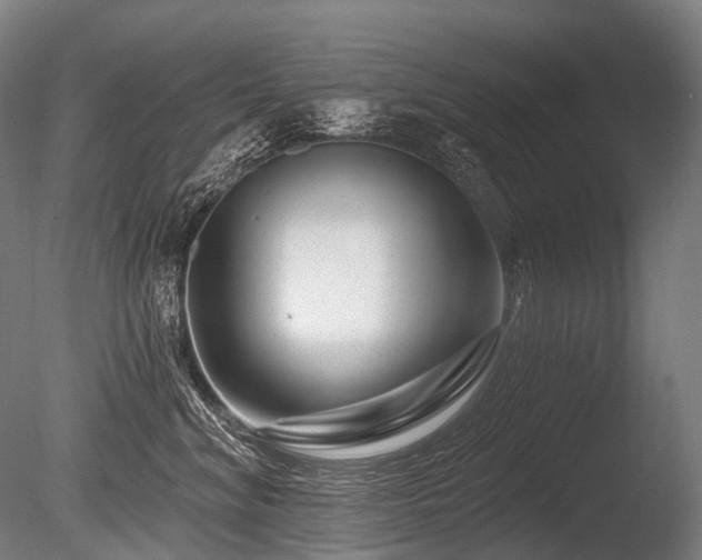 X0000086100620200703231436