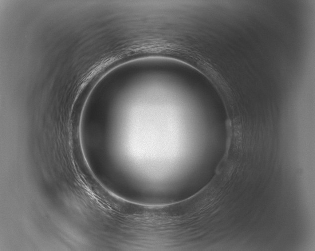 X0000086100626200703231435