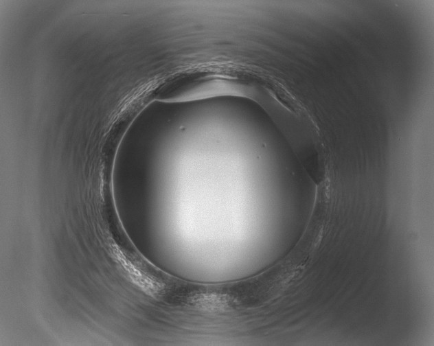 X0000086100637200703231436